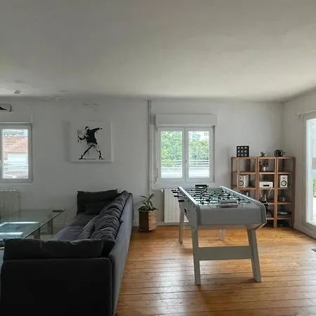 Large Duplex With Terrace Appartement Straatsburg