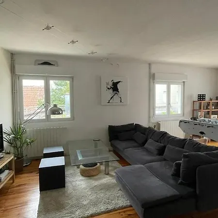 Large Duplex With Terrace * ストラスブール