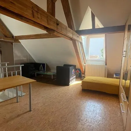 Large Duplex With Terrace ストラスブール