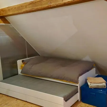 Large Duplex With Terrace Appartement