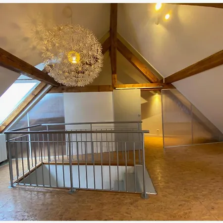Large Duplex With Terrace Apartment Strasbourg