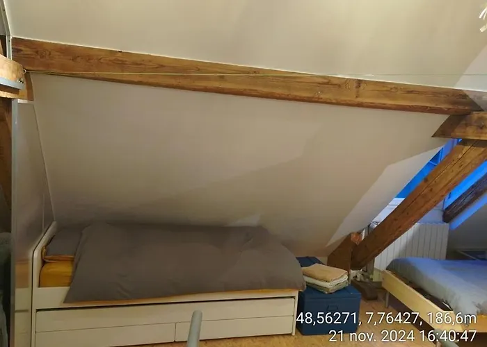 Apartment Large Duplex With Terrace Strasbourg