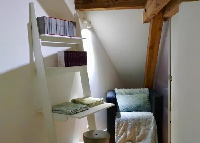 Large Duplex With Terrace *