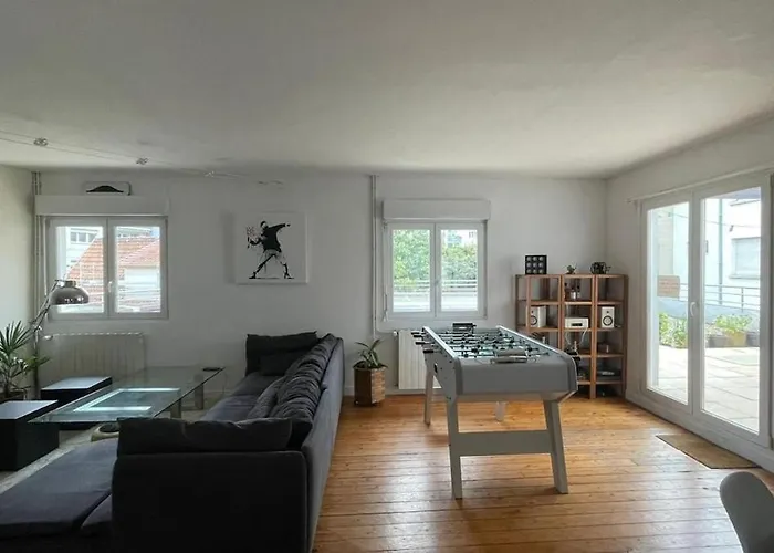 Large Duplex With Terrace Apartment Strasbourg