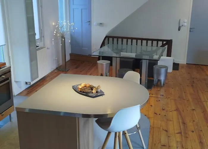 Large Duplex With Terrace Apartment Strasbourg