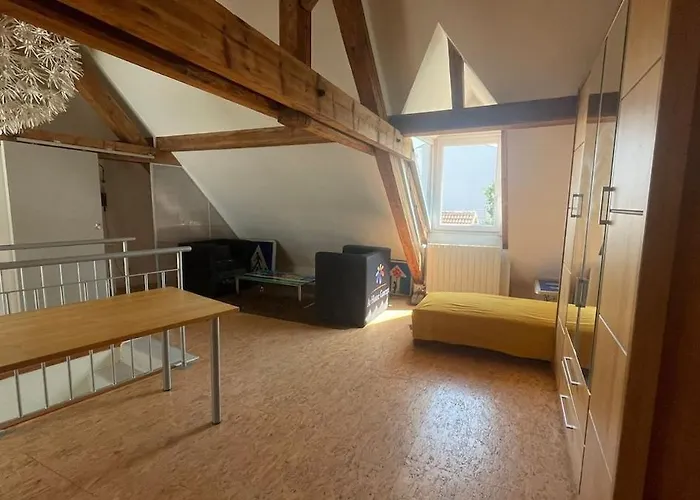 Large Duplex With Terrace Strasbourg