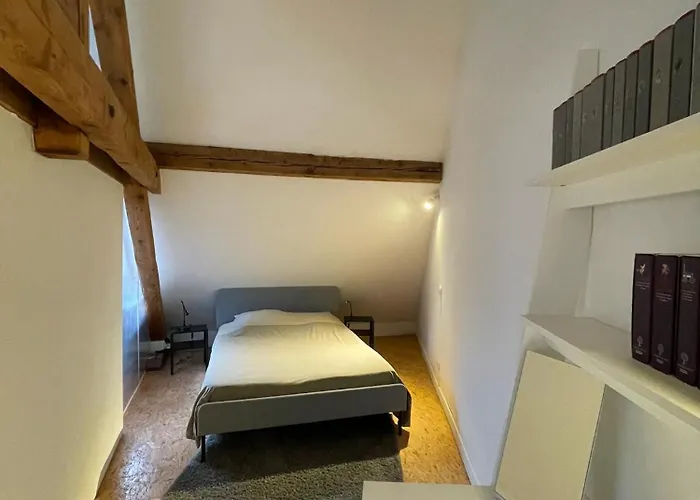 Large Duplex With Terrace * Strasbourg