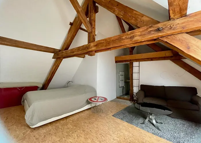 Large Duplex With Terrace Apartment *