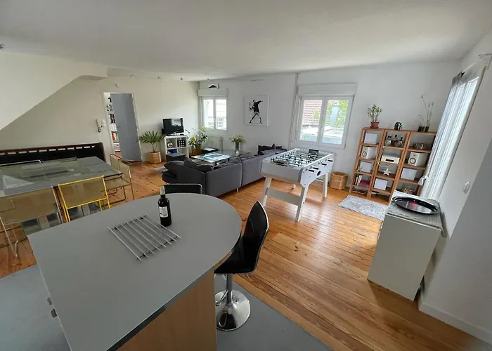 Large Duplex With Terrace Apartment Strasbourg