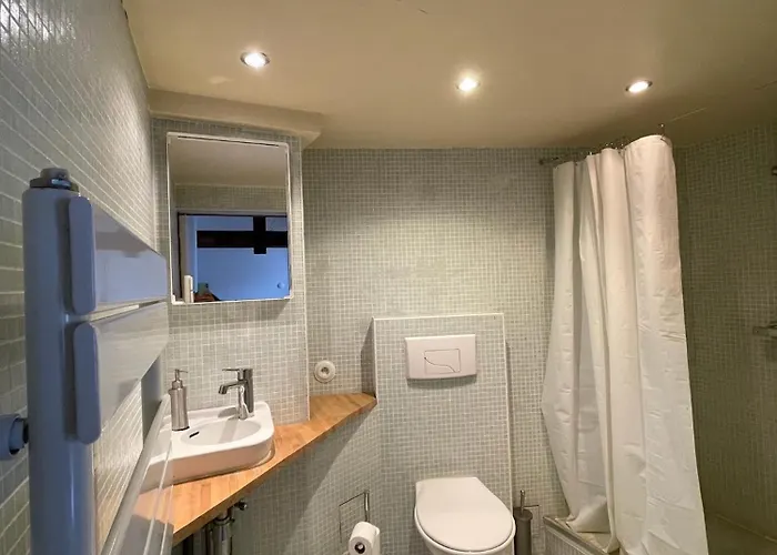 Large Duplex With Terrace * Strasbourg