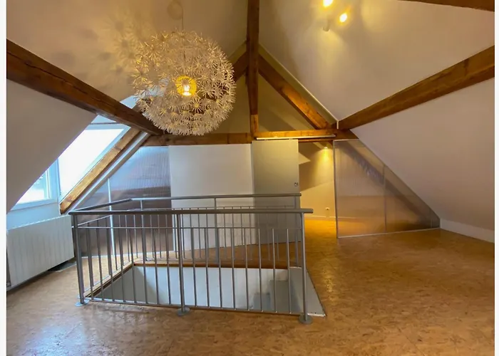 Large Duplex With Terrace Apartment Strasbourg