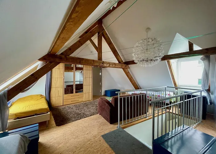 Apartment Large Duplex With Terrace Strasbourg