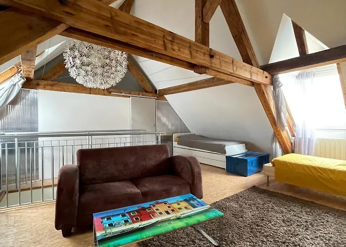 Large Duplex With Terrace Strasbourg