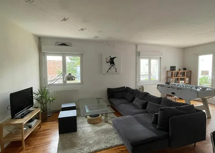 Apartment Large Duplex With Terrace Strasbourg