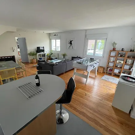 Large Duplex With Terrace Apartament Strasburg
