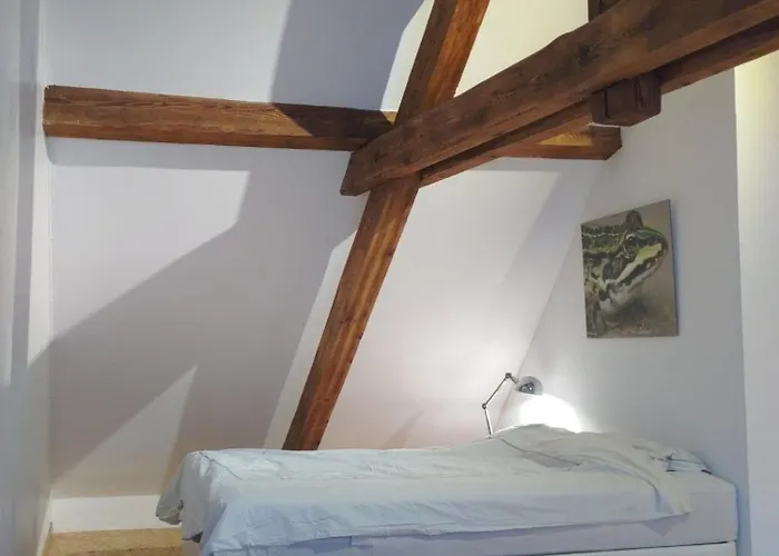 Large Duplex With Terrace